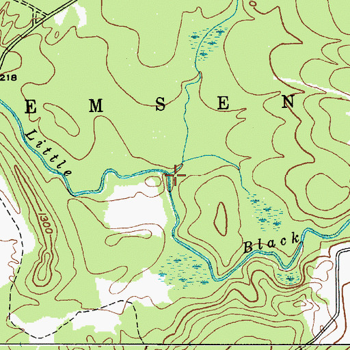 Topographic Map of Muskrat Brook, NY