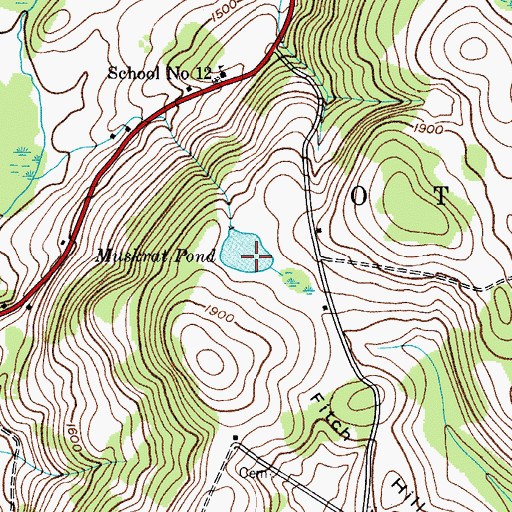 Topographic Map of Muskrat Pond, NY