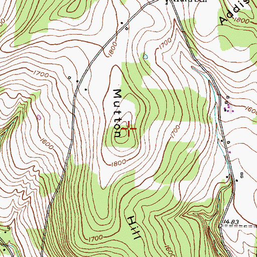 Topographic Map of Mutton Hill, NY