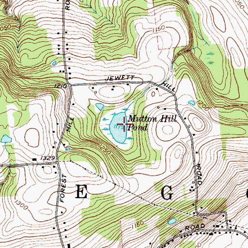 Topographic Map of Mutton Hill Pond, NY