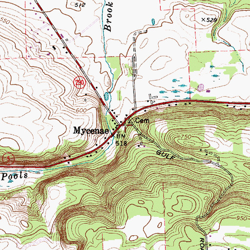 Topographic Map of Mycenae, NY