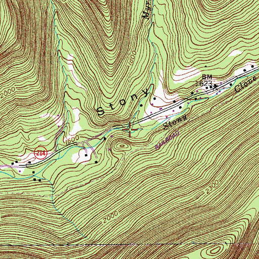 Topographic Map of Myrtle Brook, NY