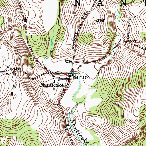 Topographic Map of Nanticoke, NY