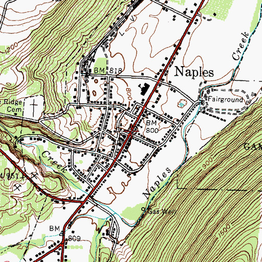 Topographic Map of Naples, NY
