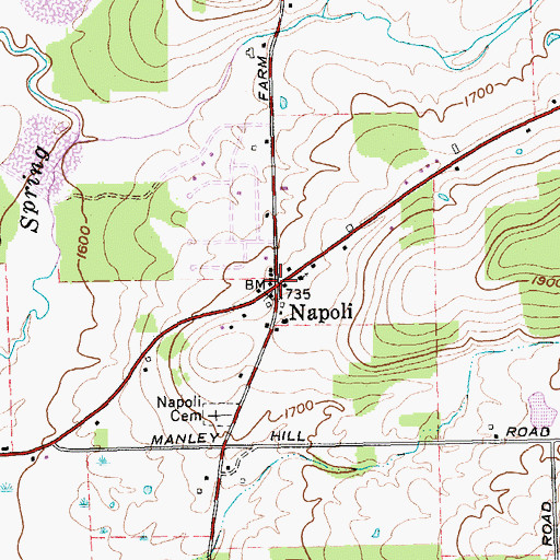 Topographic Map of Napoli, NY