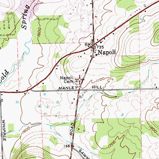 Topographic Map of South Napoli Cemetery, NY