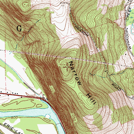 Topographic Map of Narrow Hill, NY