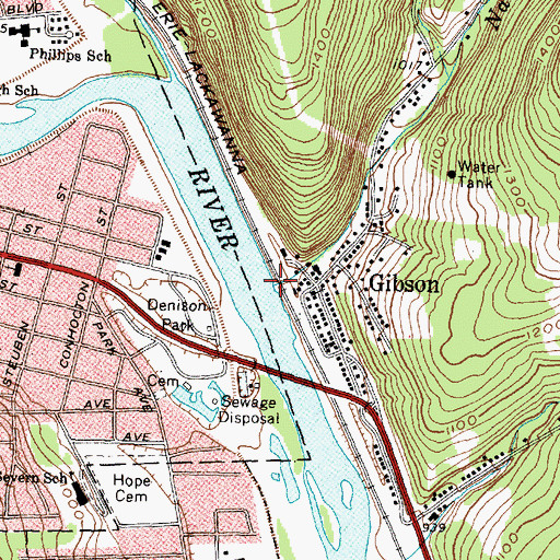 Topographic Map of Narrows Creek, NY