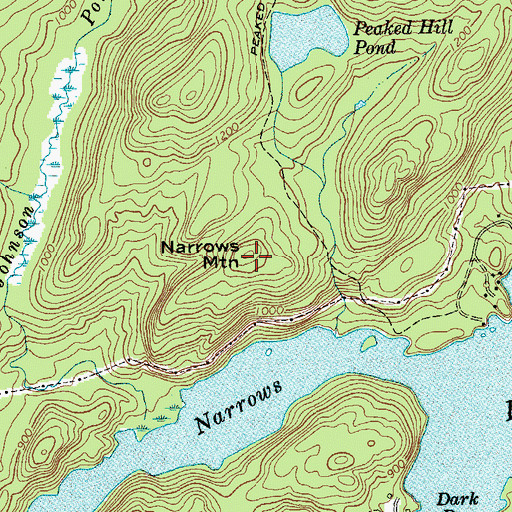 Topographic Map of Narrows Mountain, NY