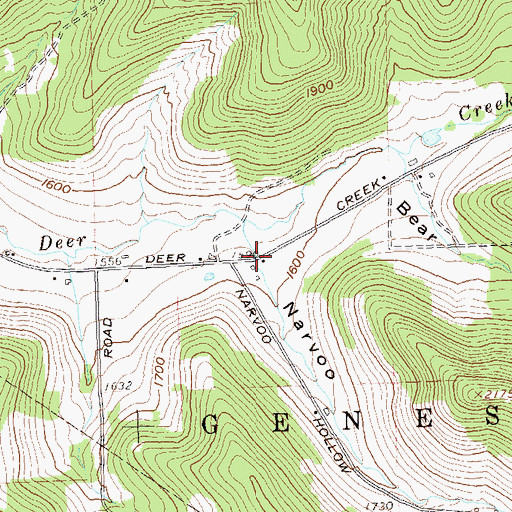 Topographic Map of Narvoo Hollow, NY