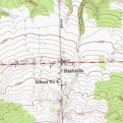 Topographic Map of Nashville, NY