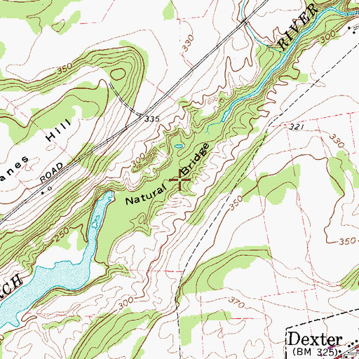 Topographic Map of Natural Bridge of New York, NY