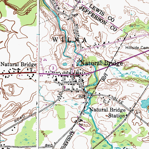 Topographic Map of Natural Bridge, NY