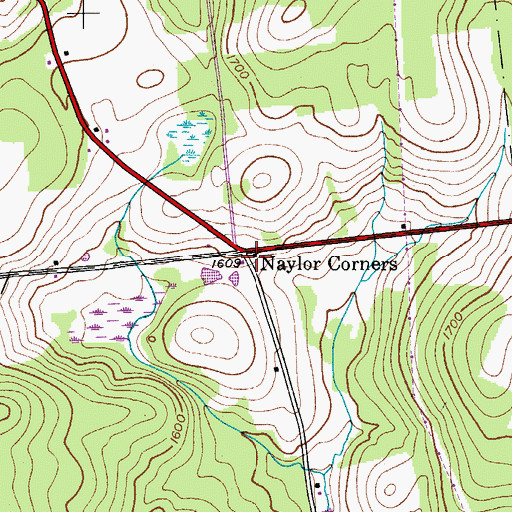 Topographic Map of Naylor Corners, NY