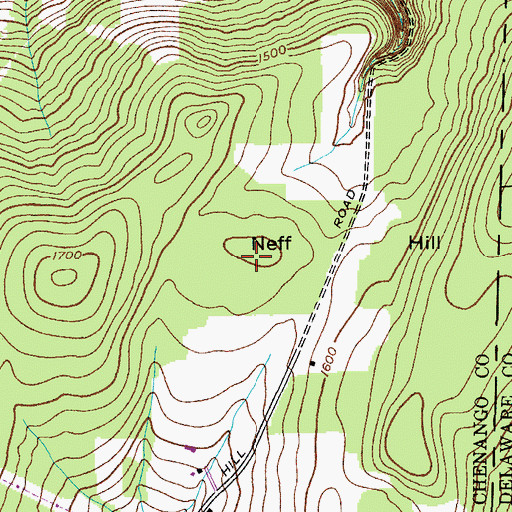 Topographic Map of Neff Hill, NY
