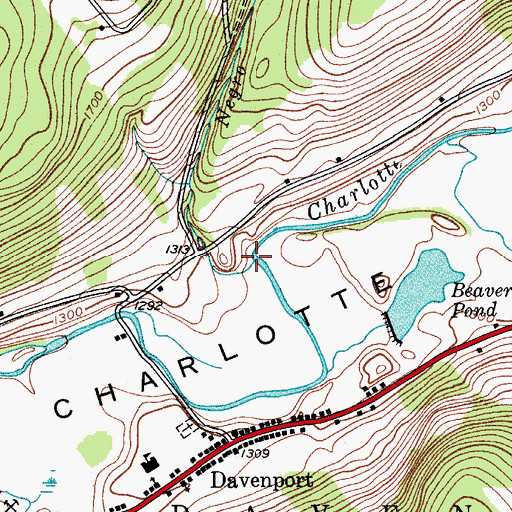 Topographic Map of Negro Brook, NY
