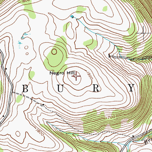 Topographic Map of Negro Hill, NY