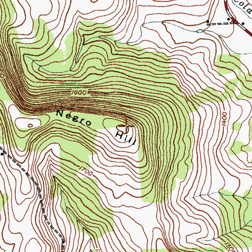 Topographic Map of Negro Hill, NY