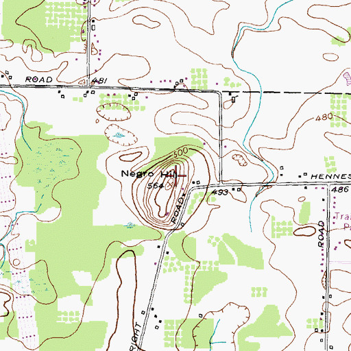 Topographic Map of Negro Hill, NY