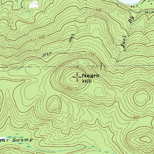 Topographic Map of Negro Hill, NY