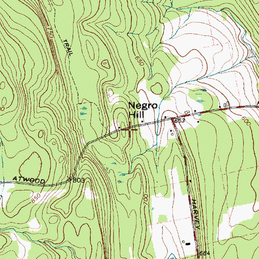 Topographic Map of Negro Hill, NY