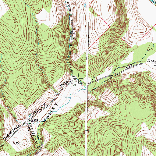 Topographic Map of Negro Hollow, NY