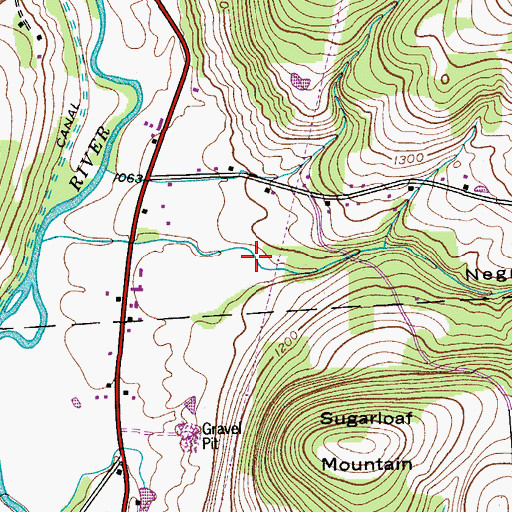 Topographic Map of Negro Hollow, NY