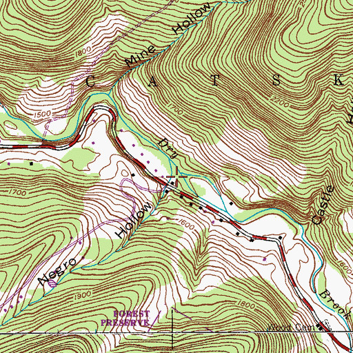 Topographic Map of Negro Hollow, NY