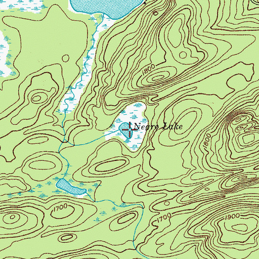 Topographic Map of Negro Lake, NY