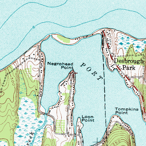 Topographic Map of Negrohead Point, NY