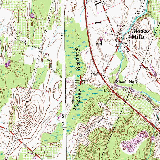 Topographic Map of Neiber Swamp, NY