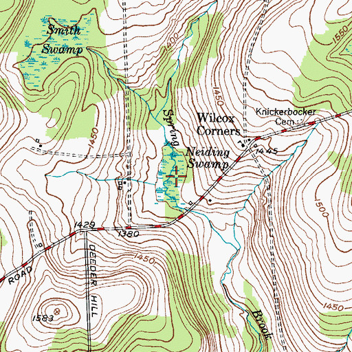 Topographic Map of Neiding Swamp, NY
