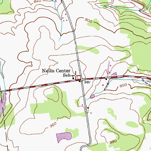Topographic Map of Nellis Center School (historical), NY