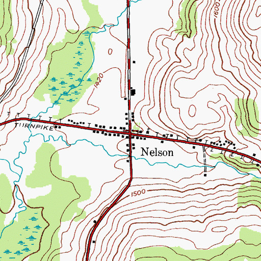 Topographic Map of Nelson, NY