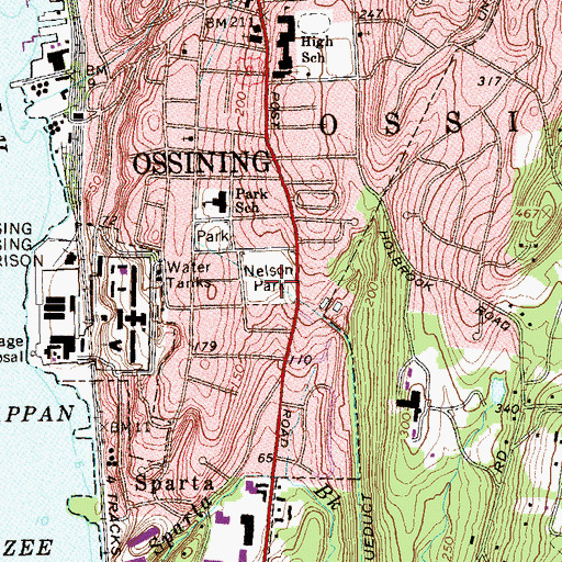 Topographic Map of Nelson Park, NY
