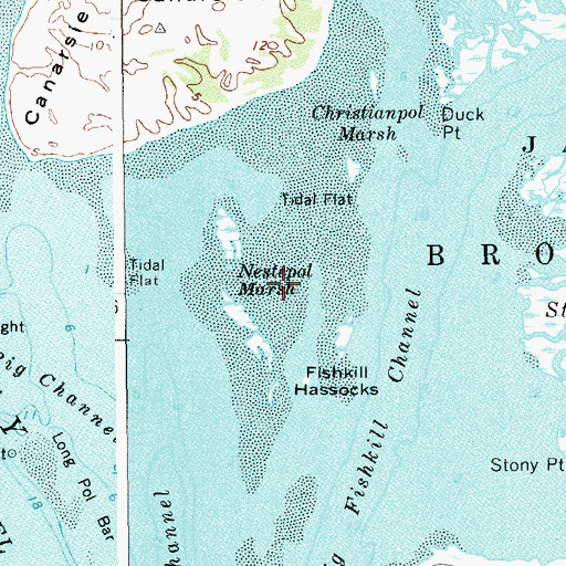 Topographic Map of Nestepol Marsh, NY