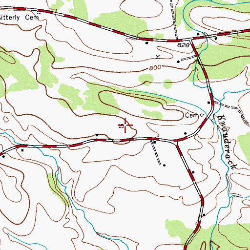 Topographic Map of Nestle Cemetery, NY