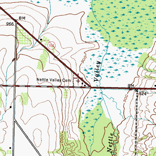 Topographic Map of Nettle Valley Cemetery, NY