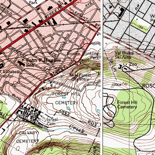 Topographic Map of New Forest Cemetery, NY