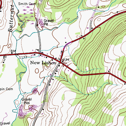 Topographic Map of New Lisbon, NY