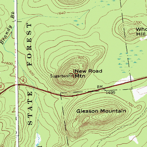 Topographic Map of New Road Mountain, NY