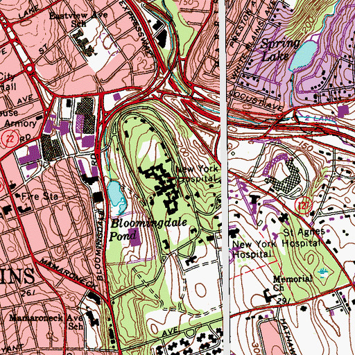 Topographic Map of New York Presbyterian Hospital - Westchester Division, NY