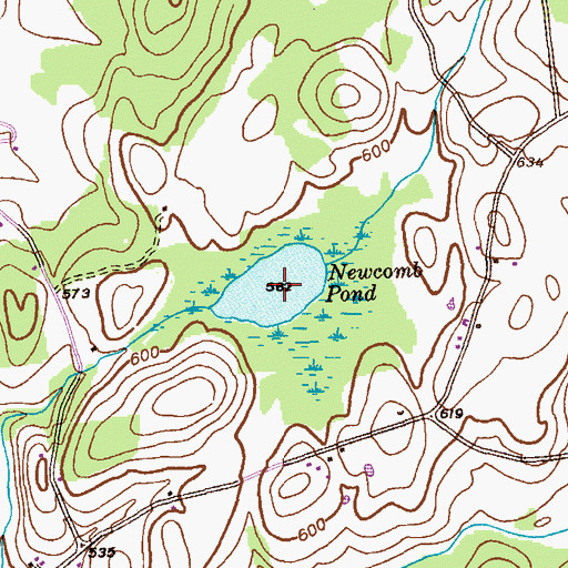 Topographic Map of Newcomb Pond, NY