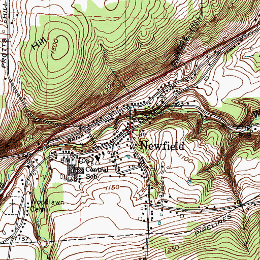Topographic Map of Newfield, NY