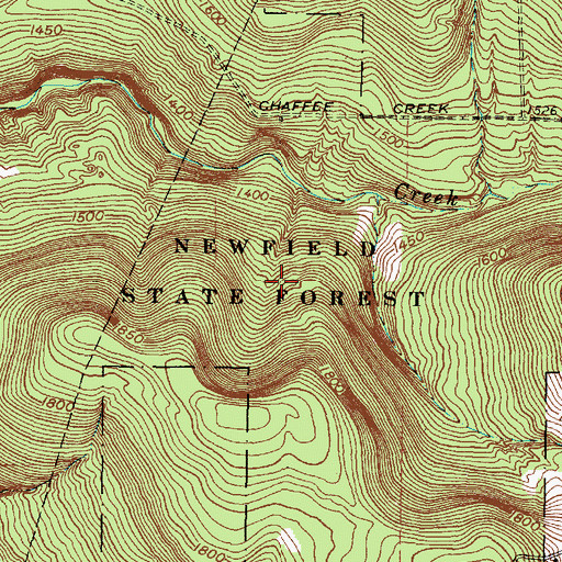 Topographic Map of Newfield State Forest, NY
