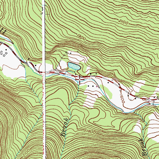 Topographic Map of Newton Brook, NY