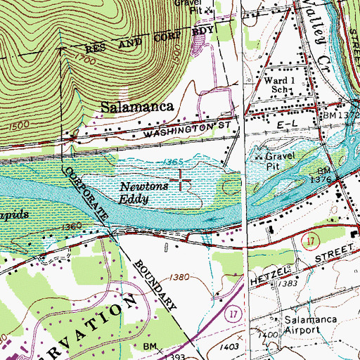Topographic Map of Newtons Eddy, NY