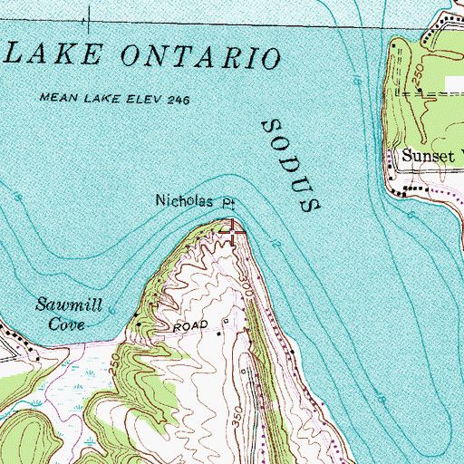 Topographic Map of Nicholas Point, NY
