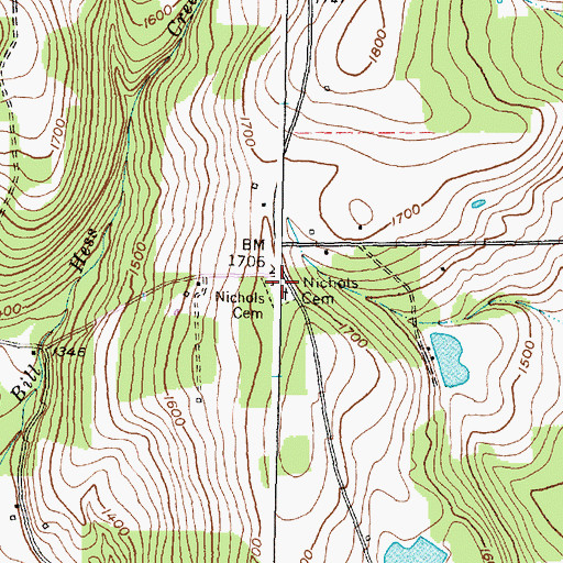 Topographic Map of Nichols Cemetery, NY