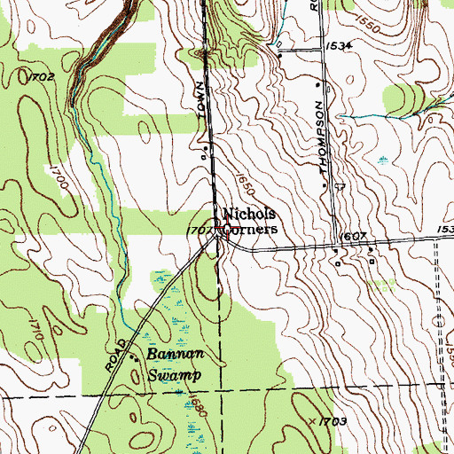 Topographic Map of Nichols Corners, NY